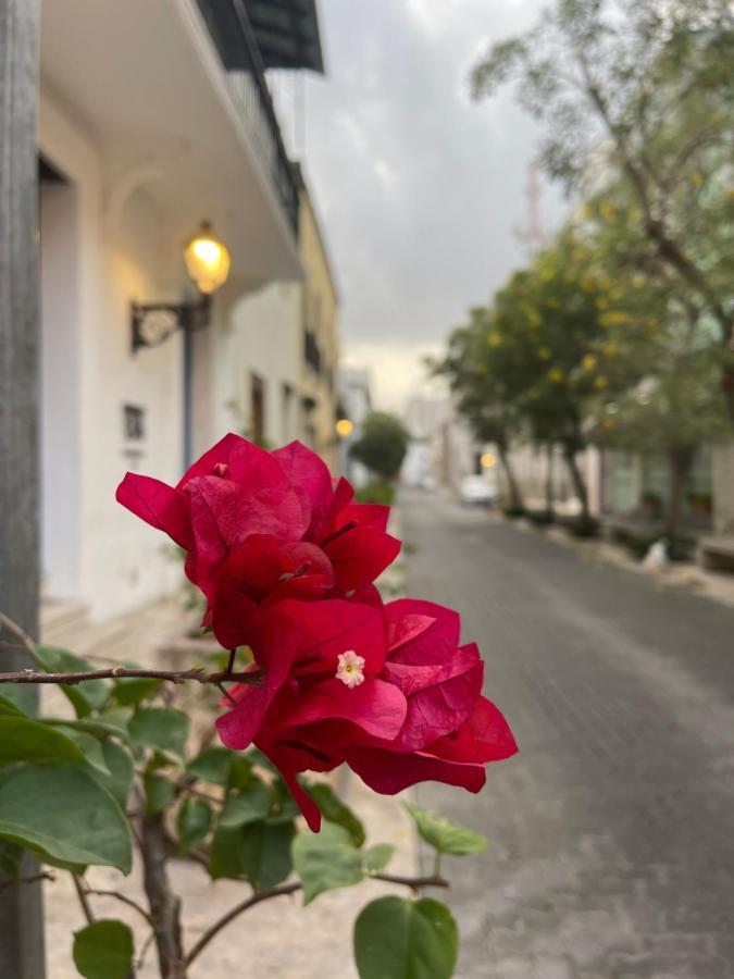 Vbermor Hotel Santo Domingo Bagian luar foto